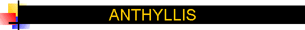 ANTHYLLIS